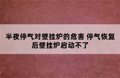 半夜停气对壁挂炉的危害 停气恢复后壁挂炉启动不了